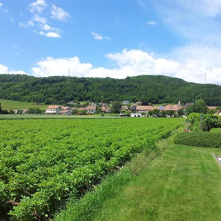Au Coeur Du Vignoble Sur Bursins Bed and Breakfast Εξωτερικό φωτογραφία