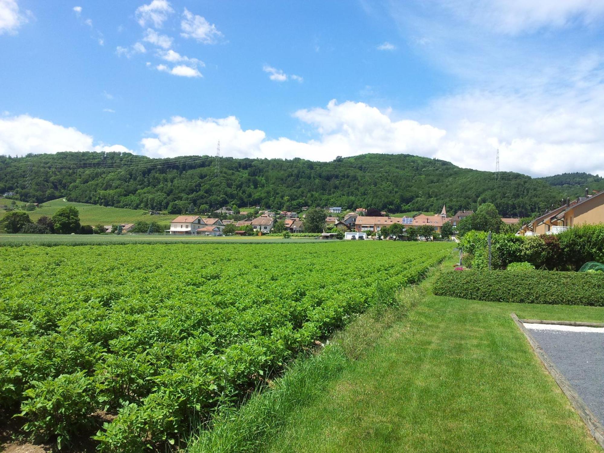 Au Coeur Du Vignoble Sur Bursins Bed and Breakfast Εξωτερικό φωτογραφία